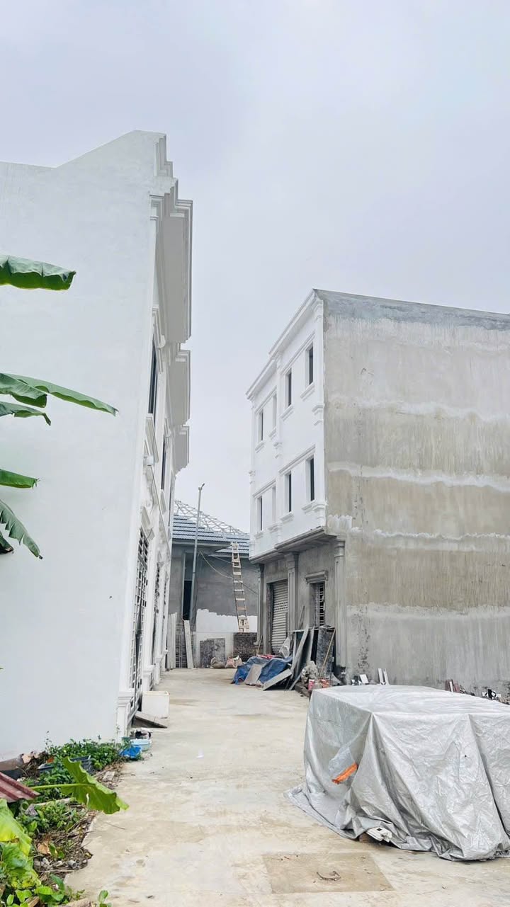 Đất nền tổ dân phố Hạ Đỗ, 60m² giá 800 triệu - Cơ hội đầu tư tuyệt vời!