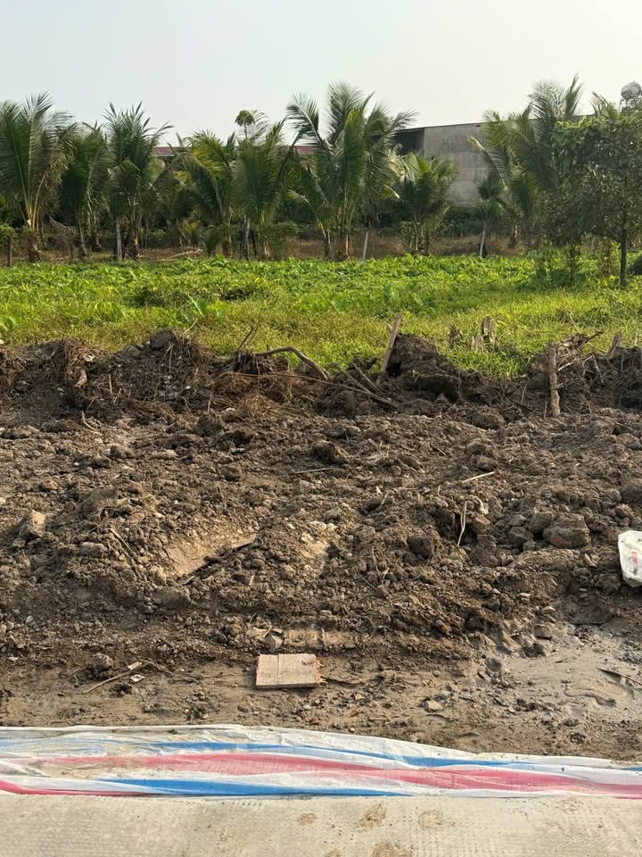 Đất nền An Phước Long Thành 119m² giá 1.35 tỷ - Đầu tư sinh lời!