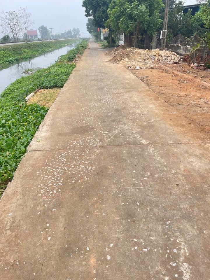 Đất nền TDP Mai Hạ, Phường Tự Lạn, Bắc Ninh 134m² giá 1.2 tỷ - Đầu tư sinh lời ngay!