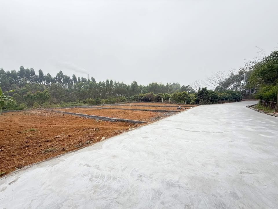 Đất nền Liên Sơn, Tân An, Bắc Ninh 180m² giá chỉ 7xx triệu - Đầu tư sinh lời ngay!