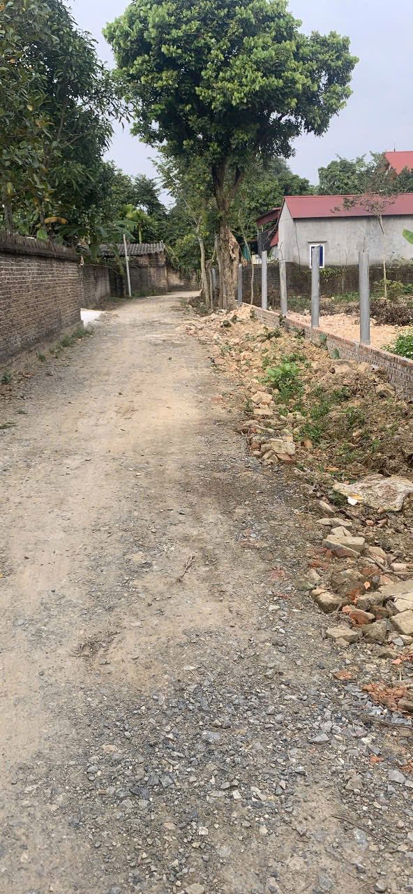 Đất nền Việt Ngọc Tân Yên 1036m² giá chỉ 3.108 tỷ - Cơ hội đầu tư tuyệt vời!