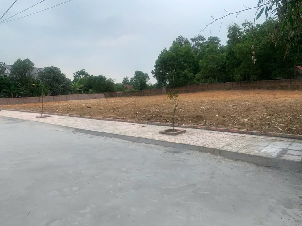 Đất nền thổ cư 157m² tại Việt Ngọc, Tân Yên chỉ 500 triệu - Cơ hội đầu tư tuyệt vời!