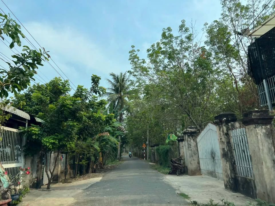 Đất thổ cư 200m² Tân Bình - Tây Ninh giá chỉ 329 triệu - Đường nhựa rộng rãi!