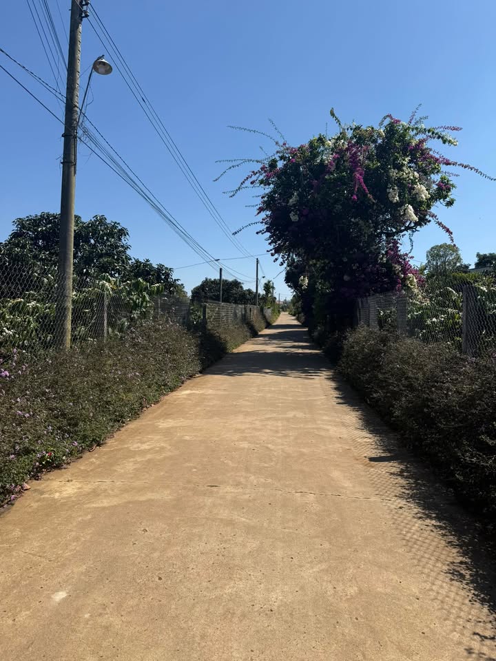 Đất mặt biển Ba Cảng, 252m² chỉ 750 triệu - Cơ hội đầu tư tuyệt vời!