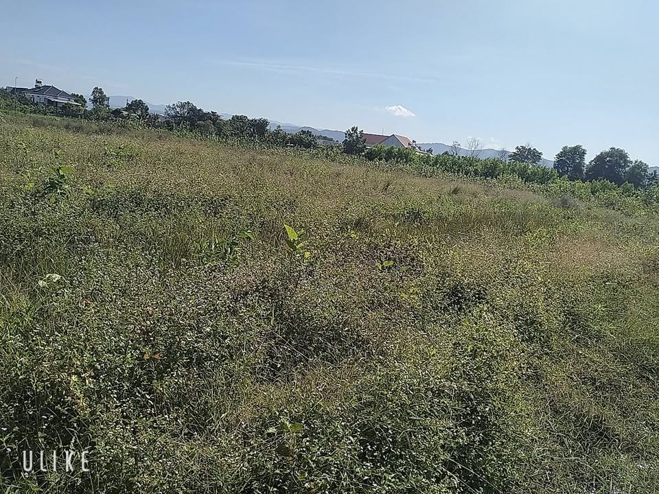 Đất Farm 720m² tại Đạ Tẻ chỉ 550 triệu - Tiềm năng phát triển lớn!