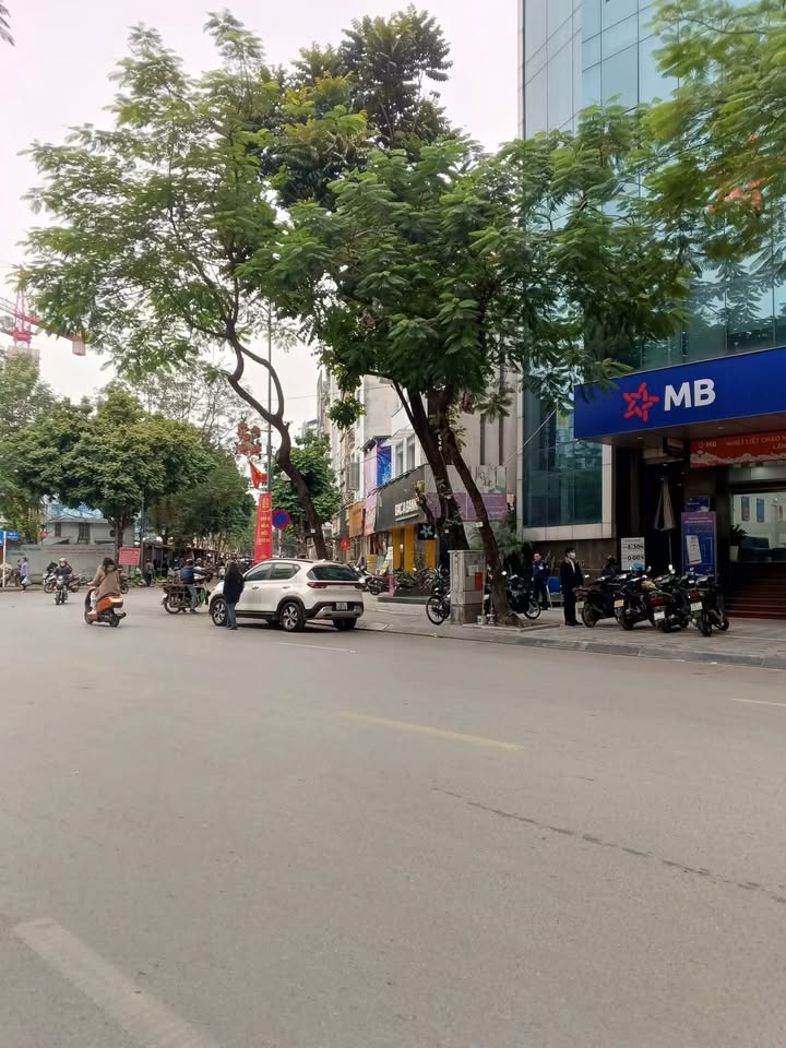 Nhà đẹp Phường Xuân La 65m² giá 16.9 tỷ - Ô tô vào nhà, kinh doanh thuận lợi!
