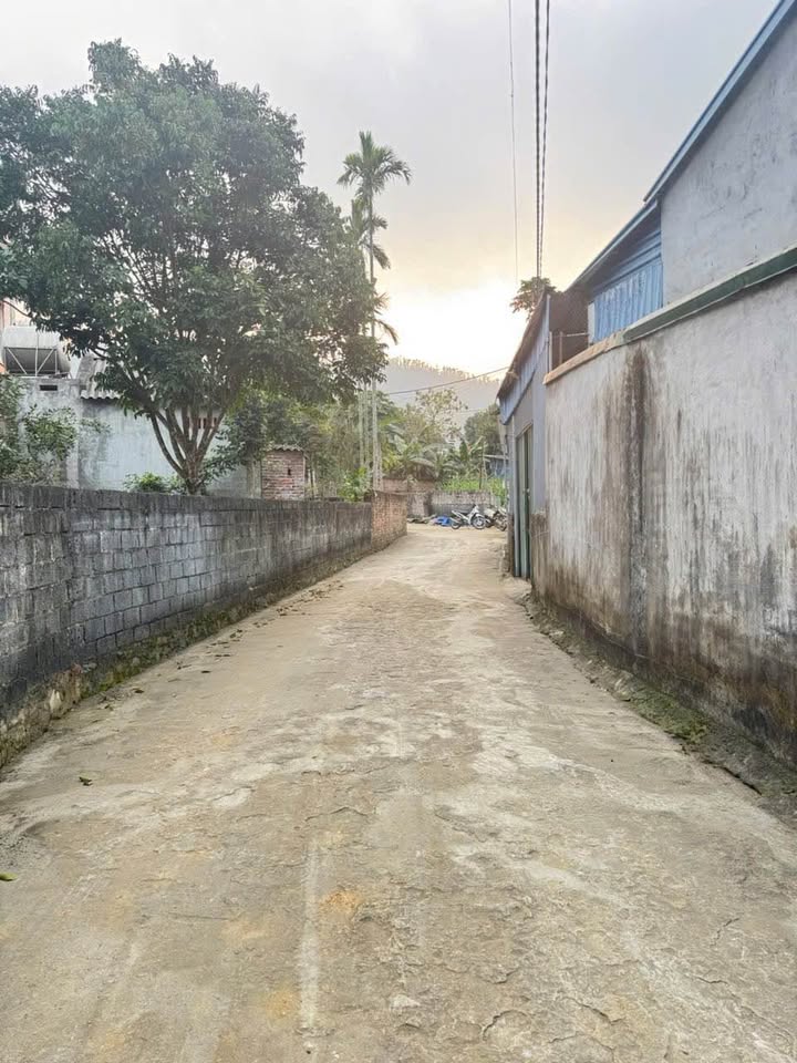 Đất thổ cư 219m² tại Thắng Đầu, Quốc Oai - Cơ hội đầu tư tuyệt vời!