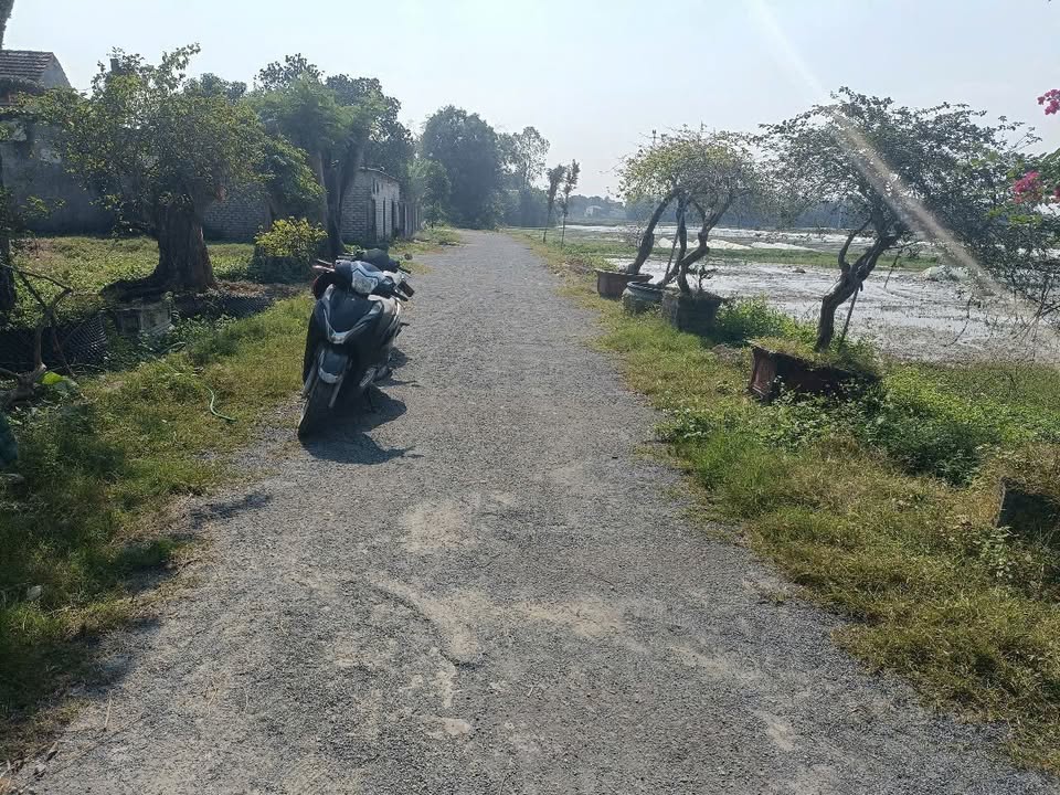 Đất nền Xóm Thái Hoà, Nghi Thái 92,7m² giá 1,4 tỷ - Sổ đỏ chính chủ, vị trí đẹp!