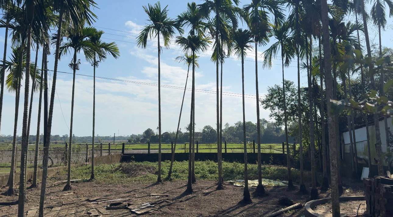 Đất nền Đoan Trai, Tân Thạnh, Tam Kỳ 362m² giá 1.2 tỷ - View cực đẹp!