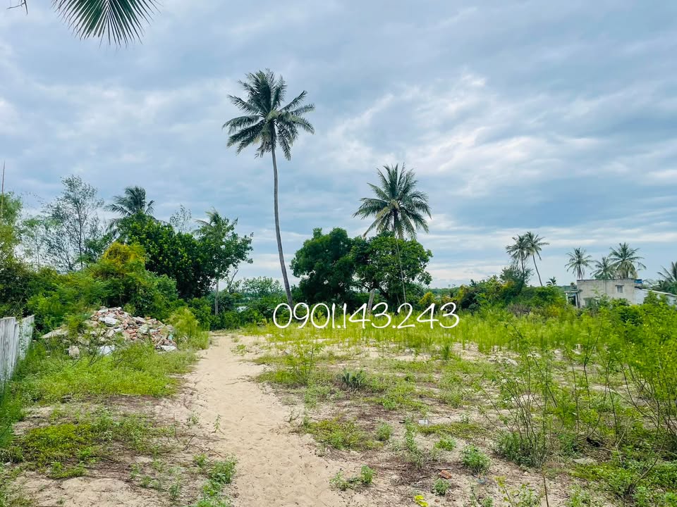 Bán Đất Tam Tiến - View Trực Diện Sông Trường Giang 1000m² giá 4 Tỷ - Cơ Hội Đầu Tư Hấp Dẫn!