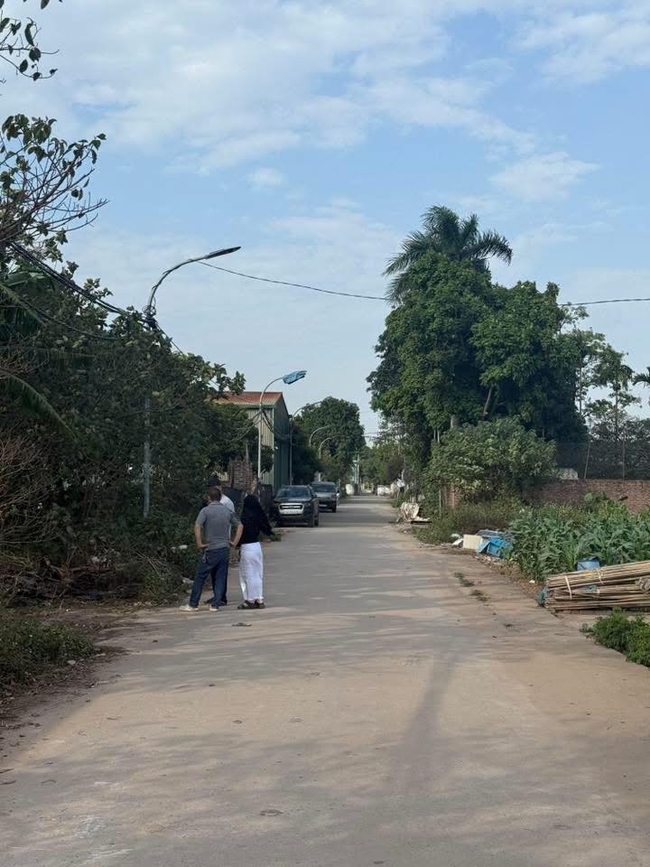 Đất trồng cây hàng năm tại Song Phương, Hoài Đức - Diện tích 720m², giá 12.96 tỷ - Cơ hội đầu tư hiếm có!