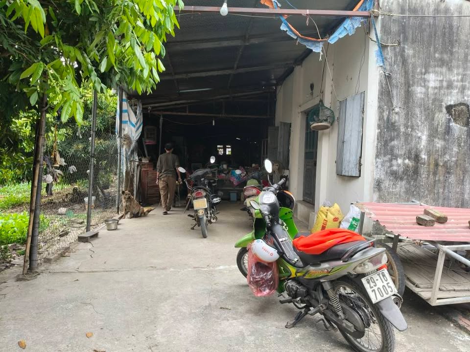 Đất ruộng Đông Anh 13000m² giá 6.5 tỷ - Cơ hội đầu tư tiềm năng!