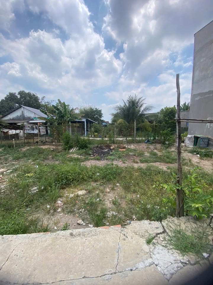 Đất nền đầu tư tại Mỹ Hạnh Nam, 36m² giá chỉ 240 triệu - Cơ hội vàng cho nhà đầu tư!