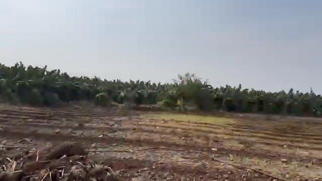 Đất Farm Hương Lộ 24, Trị An, Vĩnh Cửu 12.000m² giá 3.6 tỷ - Pháp lý sổ hồng riêng!