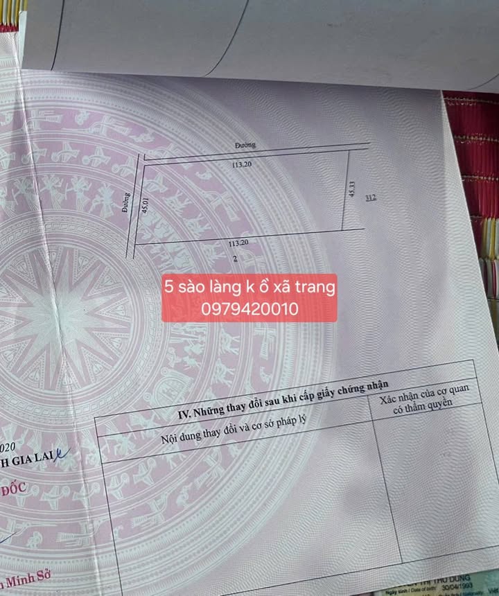 Đất nông nghiệp 1800m² tại Làng Kồ, Xã Trang - Đầu tư sinh lời hấp dẫn!