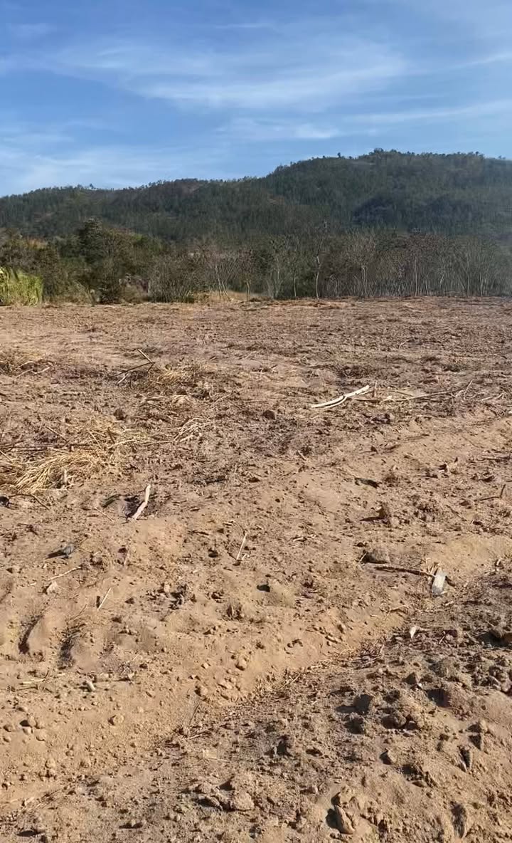 Đất nền 1ha tại Xã Ia Le, Huyện Chư Pưh, Gia Lai - Giá chỉ 175 triệu!