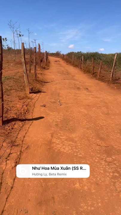 Farm 6ha Ia Ko, Chư Sê - Đất đỏ bazan, giá thỏa thuận hấp dẫn!