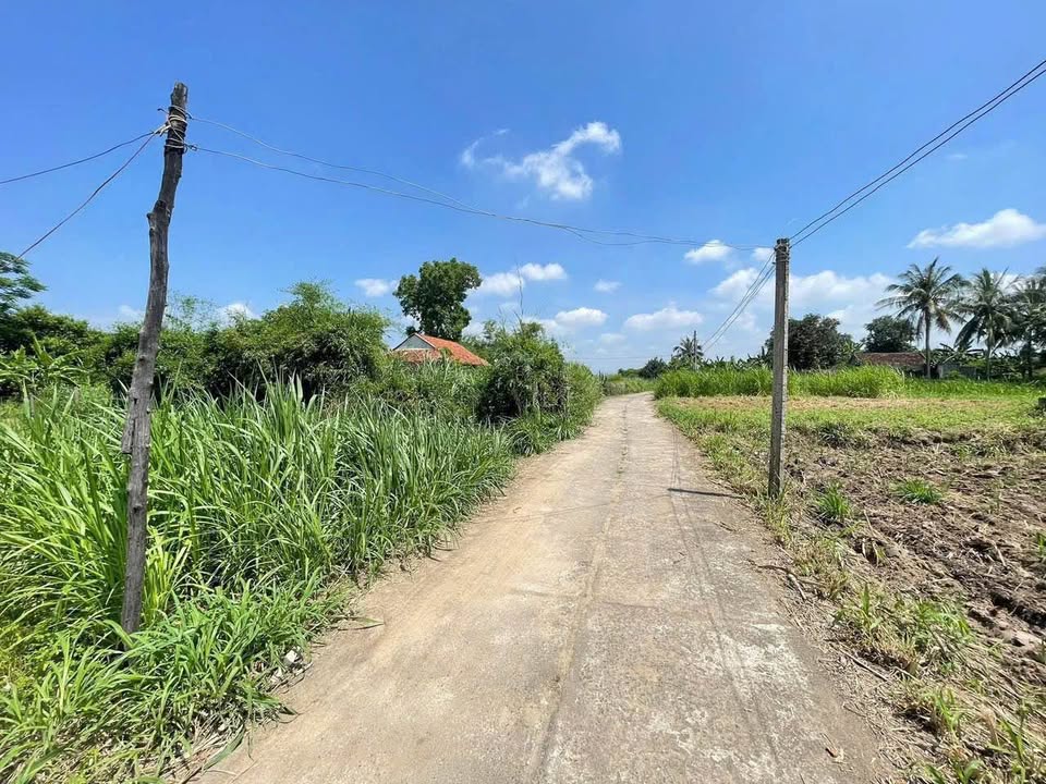 Lô Đất Thổ Cư 150m² Thị Trấn Củng Sơn - Chỉ 168 triệu, Đường Bê Tông Ô Tô Tận Nơi!