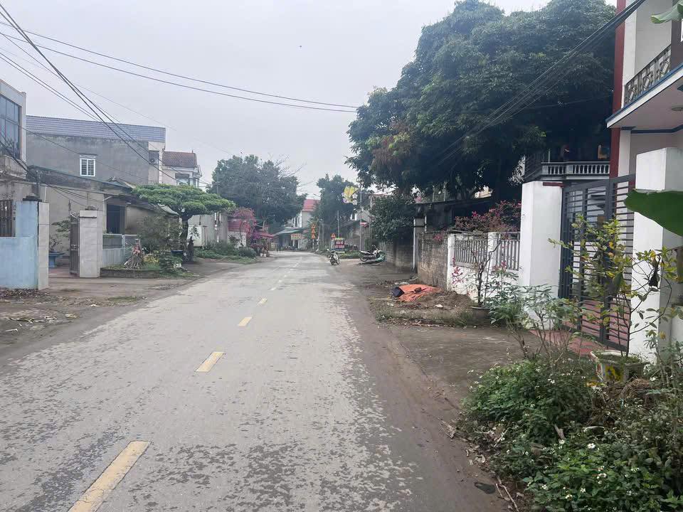 Đất nền xã Tam Sơn, huyện Cẩm Khê 100m² giá 1.5 tỷ - Cơ hội đầu tư hấp dẫn!