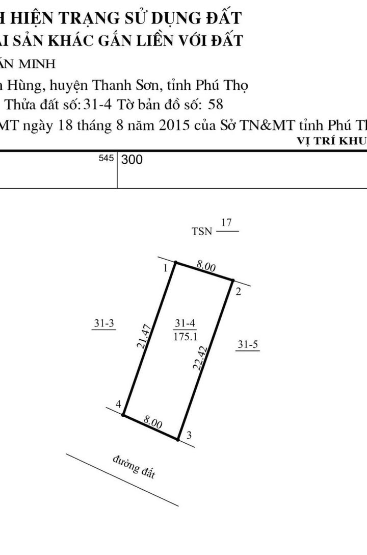 Đất nền Phú Thọ 175.1m² giá chỉ 300 triệu - Vị trí đắc địa ngay trung tâm!