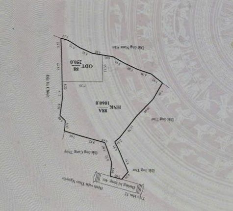 Đất nền 1.300m² Phường Tô Hiệu giá 11.7 tỷ - Cơ hội đầu tư hiếm có!