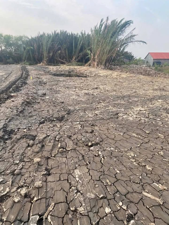 Lô đất xã An Thới Đông, Cần Giờ 800m² giá 850 triệu - Sổ hồng chính chủ