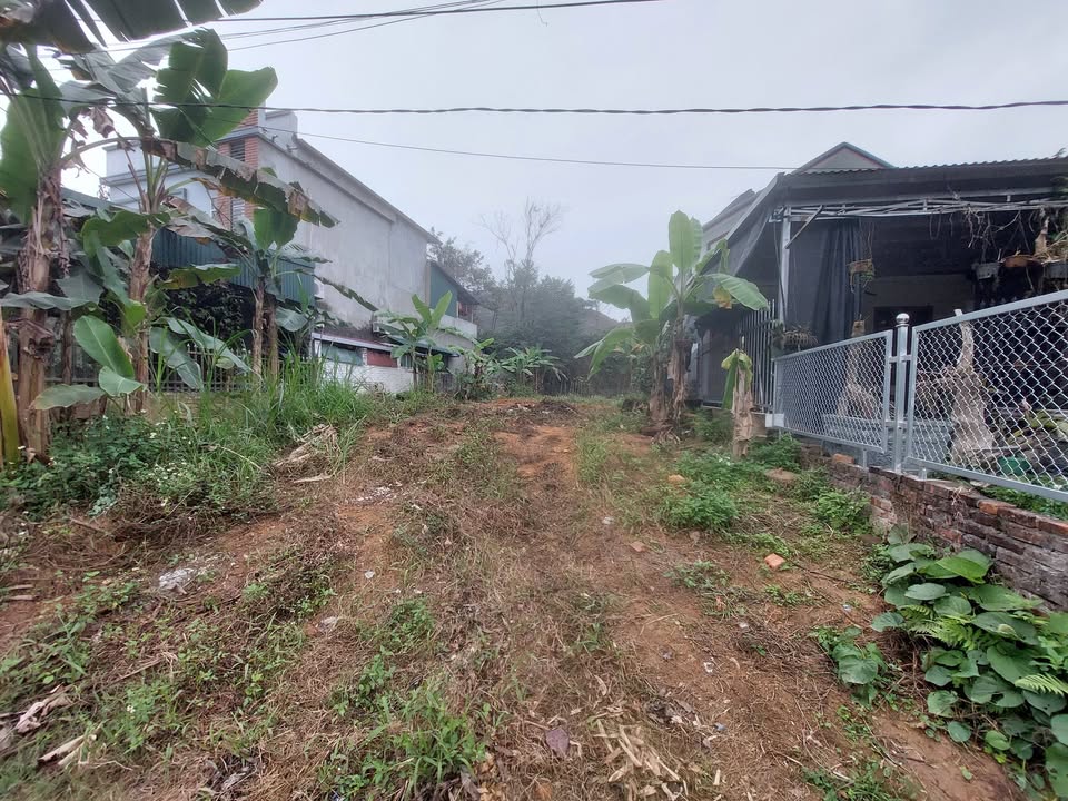 Đất thổ cư 327m² huyện Bắc Quang, giá 2.03 tỷ - Đường ô tô vào thoải mái!