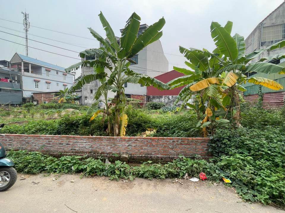 Đất nền Hồ Sơn, Tam Đảo 216m² giá chỉ 2 tỷ - Cơ hội vàng cho đầu tư!