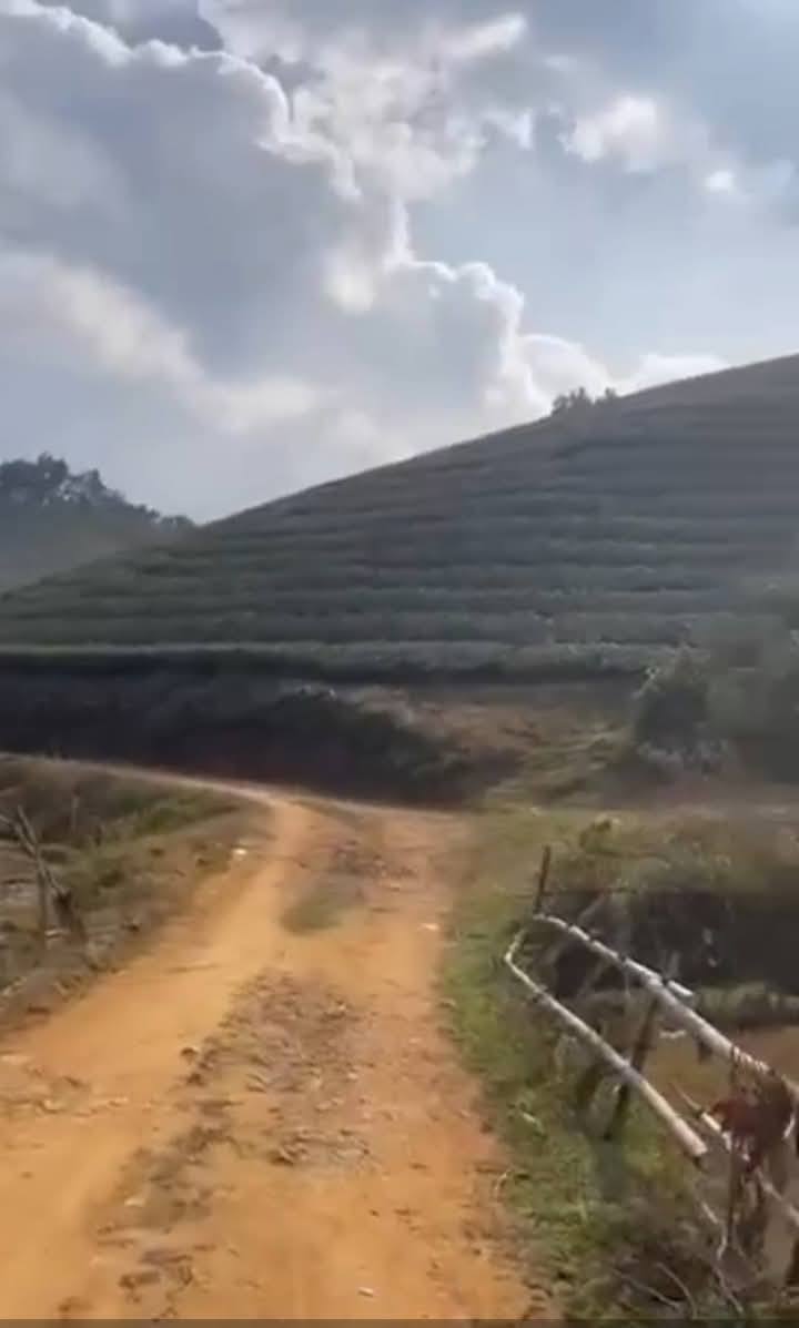 Đất nông nghiệp Long Cốc, Vĩnh Phúc 1378m² - View cánh đồng tuyệt đẹp