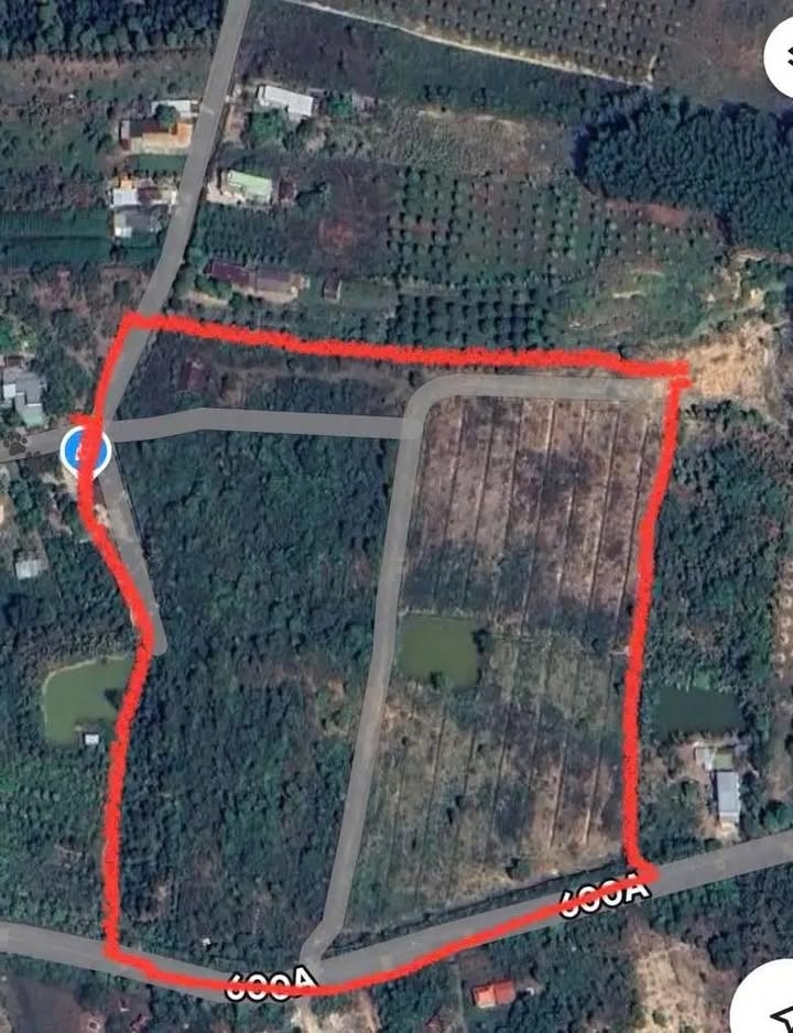 Đất nông nghiệp 4 hecta tại Nam Cát Tiên chỉ 10 tỷ - Cơ hội đầu tư tuyệt vời!