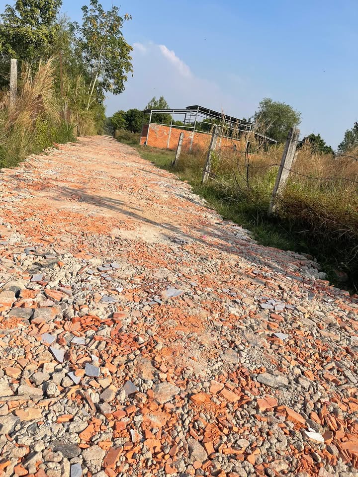 Đất nền ấp An Điền, Châu Thành, Tây Ninh 420m² giá 500 triệu - Cơ hội đầu tư hấp dẫn!