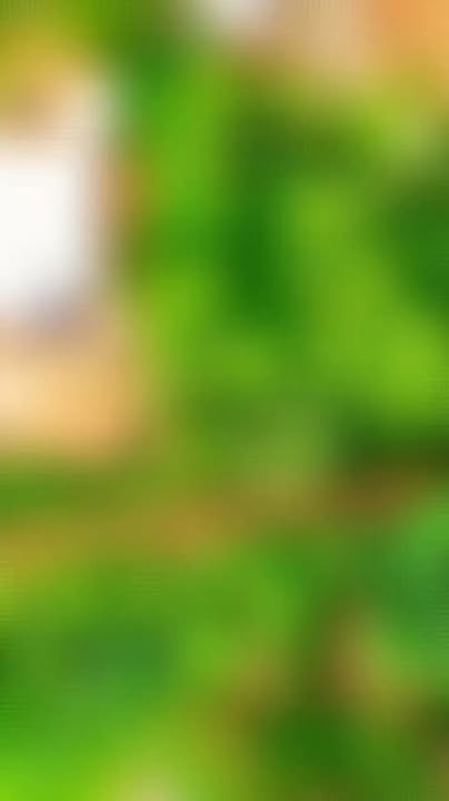 Đất nền Lạc Sơn Hòa Bình 150m² giá chỉ 200 triệu - Sở hữu ngay lô đất kim cương!