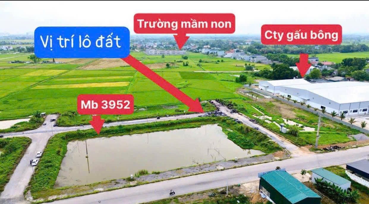 Đất nền mặt tiền đường Thanh Niên, Quảng Trạch 120m² giá 1 tỷ - Cơ hội đầu tư không thể bỏ lỡ!