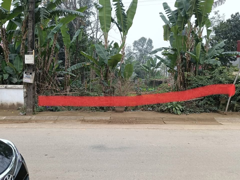 Đất nền thôn 10 Thuận Minh 380m² giá thỏa thuận - Cơ hội đầu tư hấp dẫn!