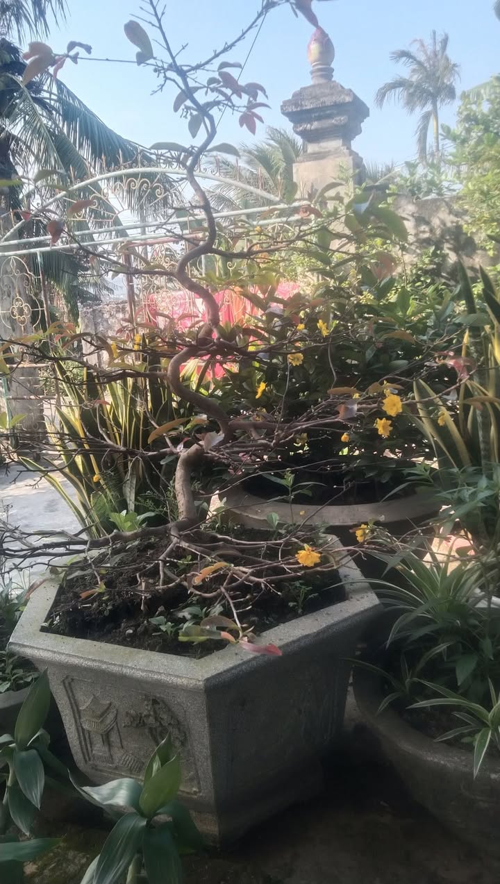 Đất thổ cư Quỳnh Thạch 144m² giá 1 tỷ - Vị trí đẹp gần trung tâm