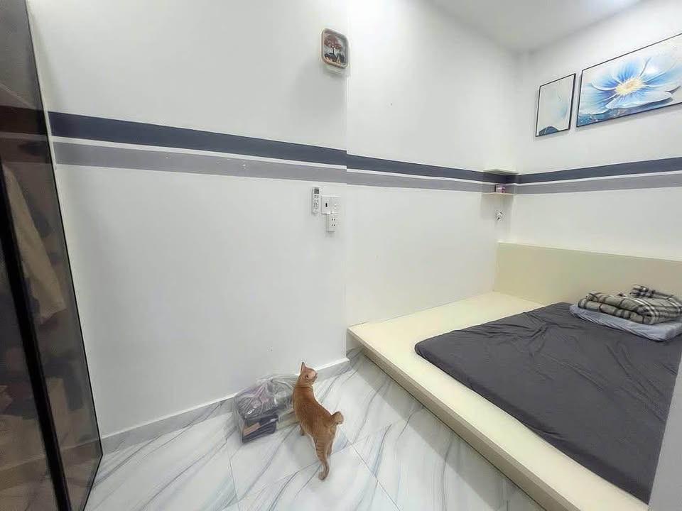 Nhà hẻm Phạm Thế Hiển, P6, Q8 - 72m² chỉ 4.2 tỷ, sẵn sàng vào ở!