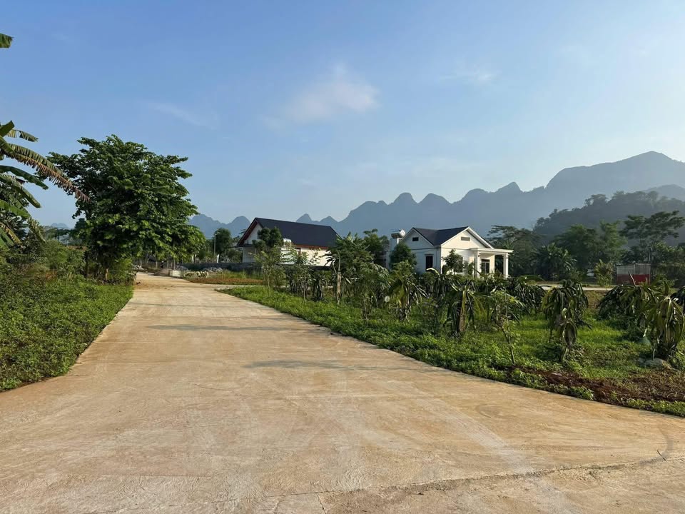 Đất thổ cư Xã Phong Quang 264m² giá 3.168 tỷ - Đầu tư an toàn, không khí trong lành!