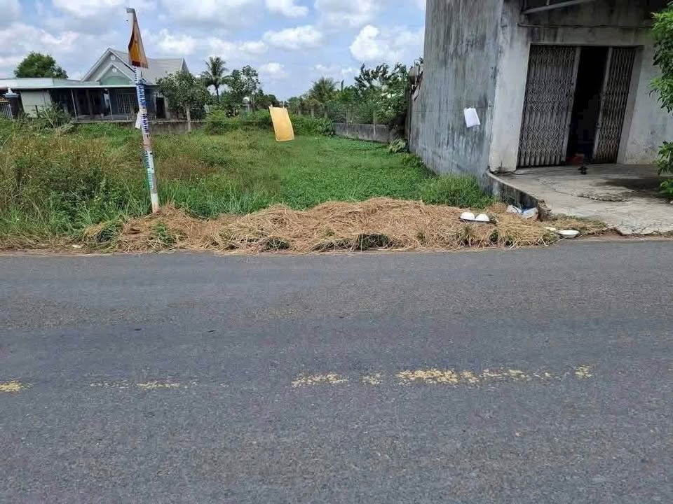 Đất nền mặt tiền đường nhựa Lục Viên, 110m² giá 1.499 tỷ - Sổ hồng riêng, bớt lộc