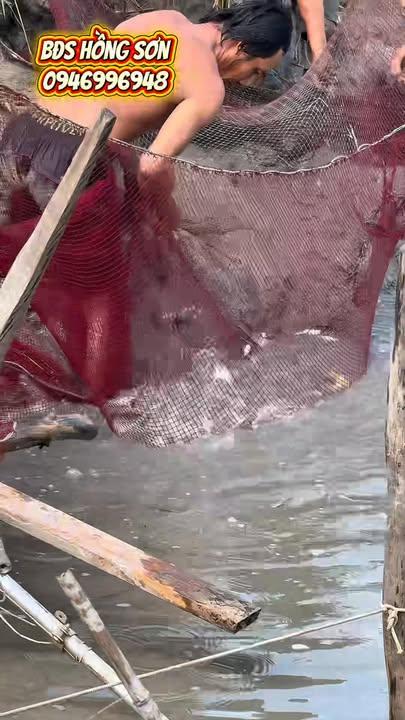 Farm Xã Thạnh Lộc, Huyện Giồng Riềng, 2000m² - Đầu Tư Lý Tưởng Cho Cuộc Sống An Lành