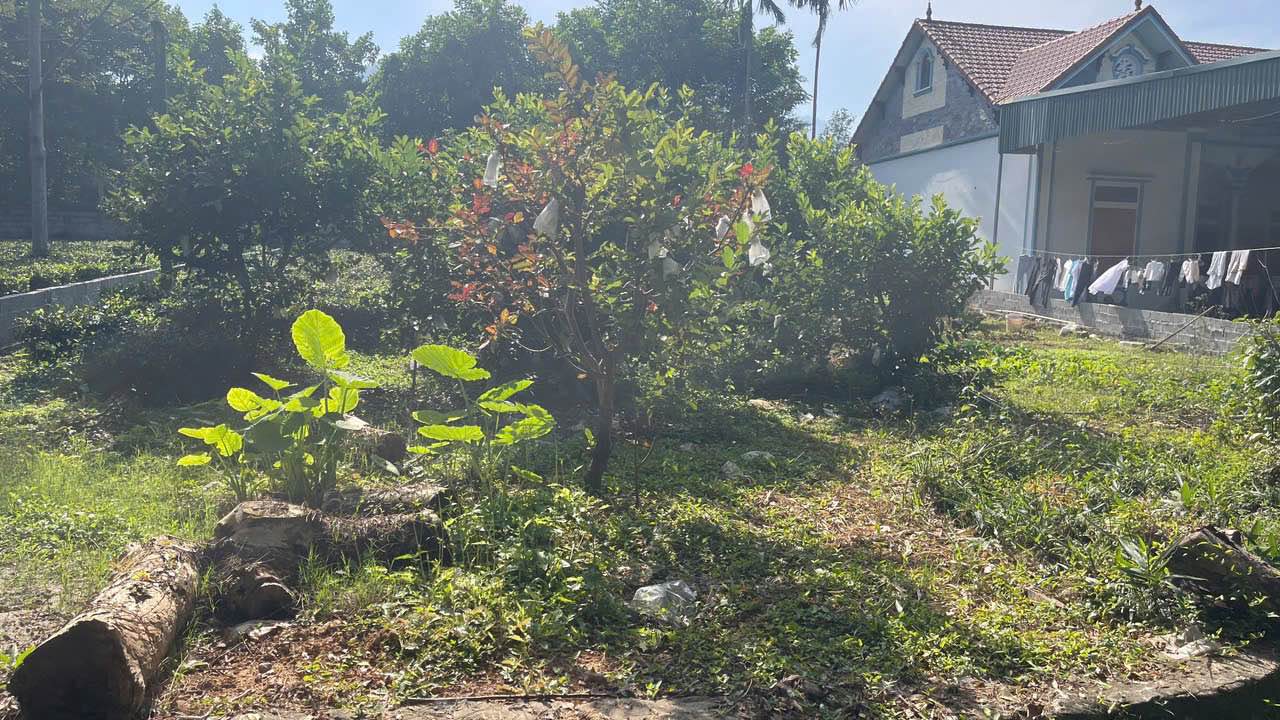 Đất nền Phường Hàng Mã, Quận Hoàn Kiếm 400m² giá 2 tỷ - Cơ hội đầu tư hiếm có!