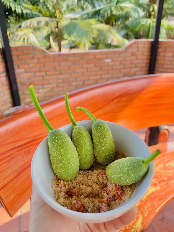 Đất nền xã Đức Hạnh, huyện Đức Linh 290m² giá 660 triệu - Đầu tư sinh lời hấp dẫn!