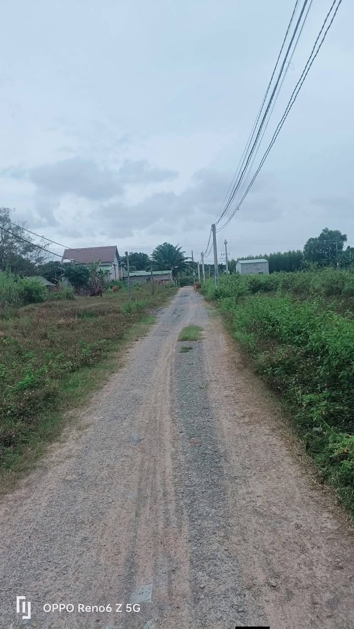 Đất thổ cư Thôn 7, xã Ea Lê, 400m² giá chỉ 165 triệu - Cơ hội đầu tư tuyệt vời!