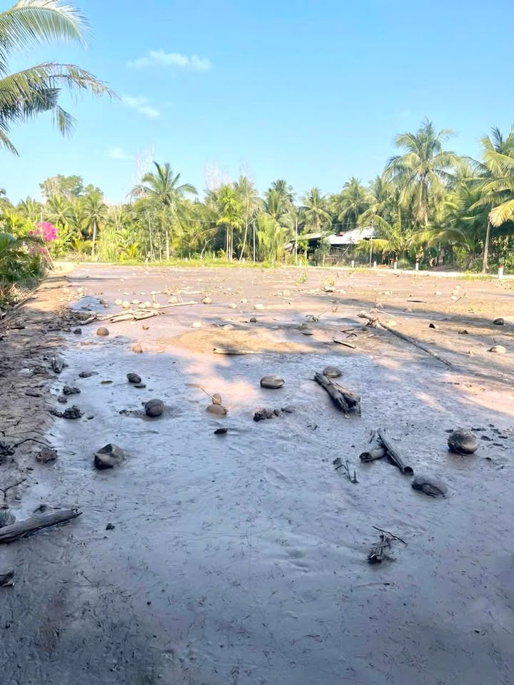 Đất nền xã Tân Thành, huyện Bình Tân, 50m² giá 750 triệu - Đầu tư sinh lời ngay!