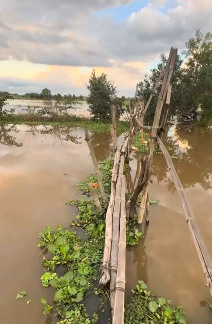 Đất nền xã Long Đức, Trà Vinh 2300m² giá 690 triệu - Mặt tiền đường nhựa, sổ hồng chính chủ!