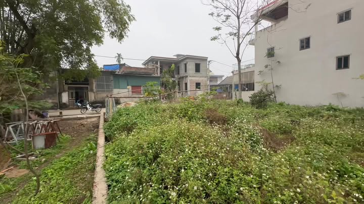 Đất thổ cư 180m² tại thôn Phú Hữu, Chương Mỹ - Giá tốt, sổ hồng chính chủ!