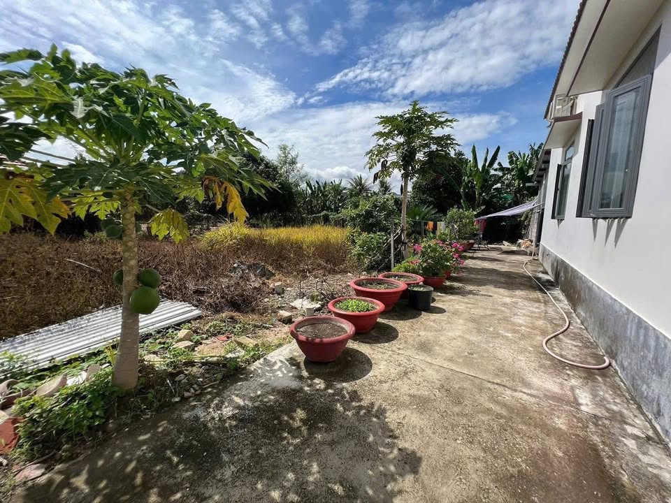 Đất nền Diên Lạc, Diên Khánh 88,8m² giá 850 triệu - Cần bán gấp trước Tết!