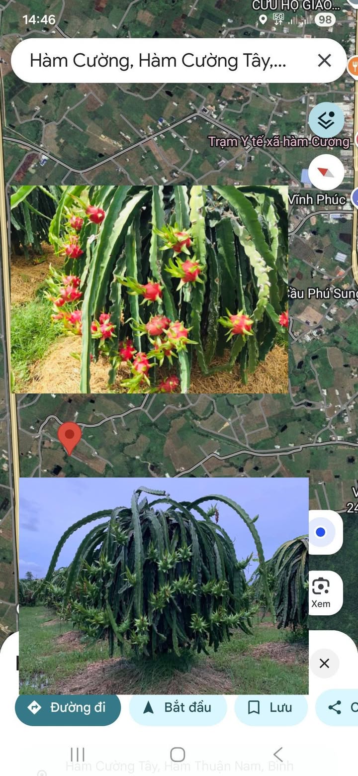 Đất nền thổ cư 7500m² tại Hàm Kiệm, Bình Thuận - Giá chỉ 1.65 tỷ, sẵn sàng cho đầu tư!