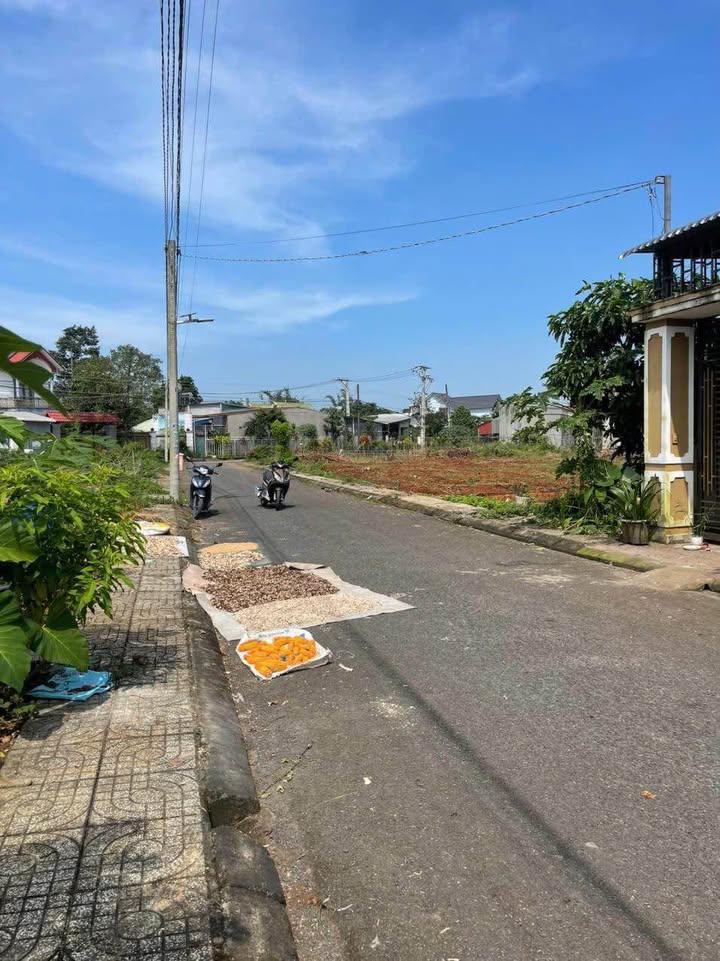 Đất nền khu dân cư La Bàn, Hòa Tân Tây, 115m² - Giá tốt chỉ 1 lô duy nhất!