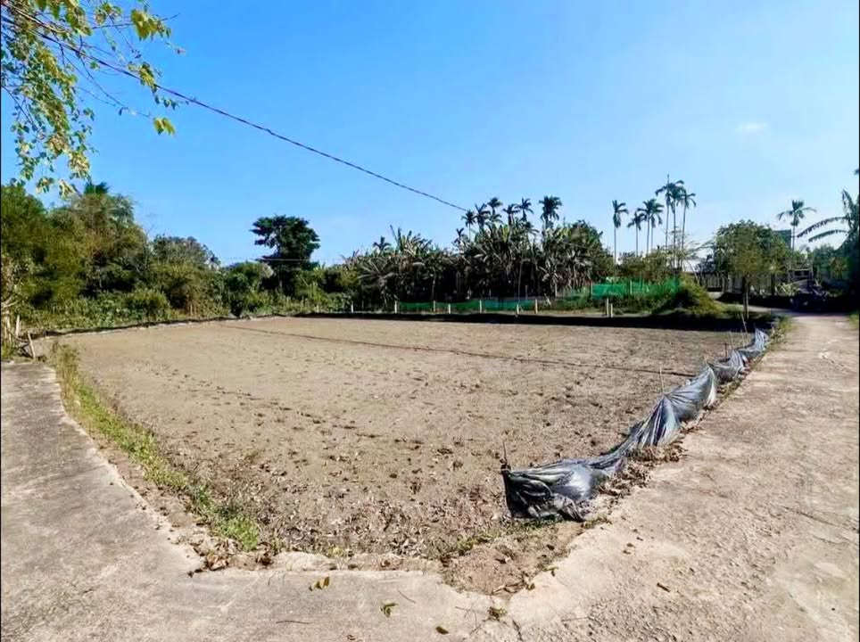 Đất nền 1000m² tại xã Hòa Ninh - Đà Nẵng giá 800 triệu - Cơ hội đầu tư tuyệt vời!