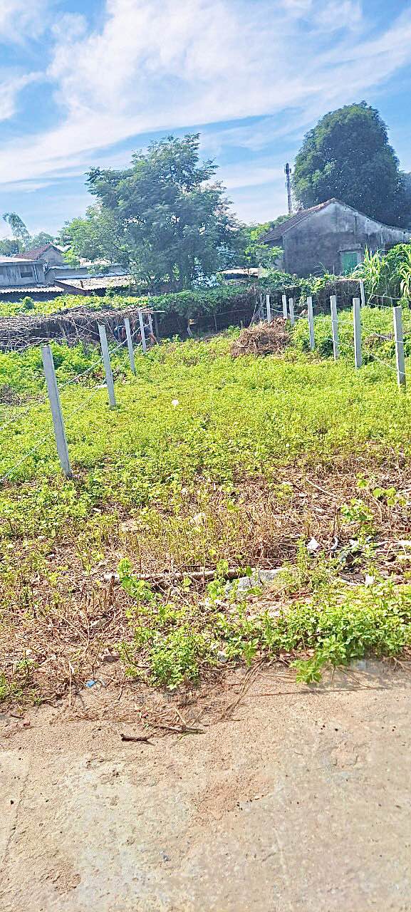 Đất nền An Phú - 150m² giá 1.1 tỷ - Đường bê tông 4.5m, sẵn sàng đầu tư!